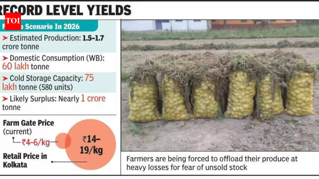 Potato distress sale starts, no change in retail price in city mkts