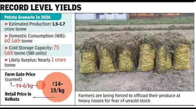 Potato distress sale starts, no change in retail price in city mkts