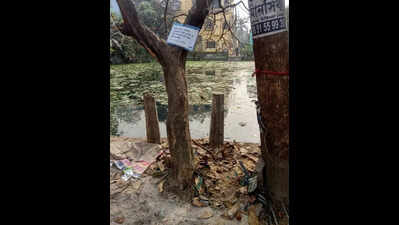Road project: Greens see red over uprooted trees