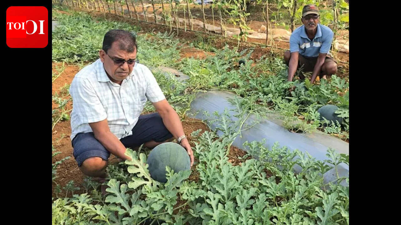 Pernem youth leads self-reliant drive with farm-to-table model