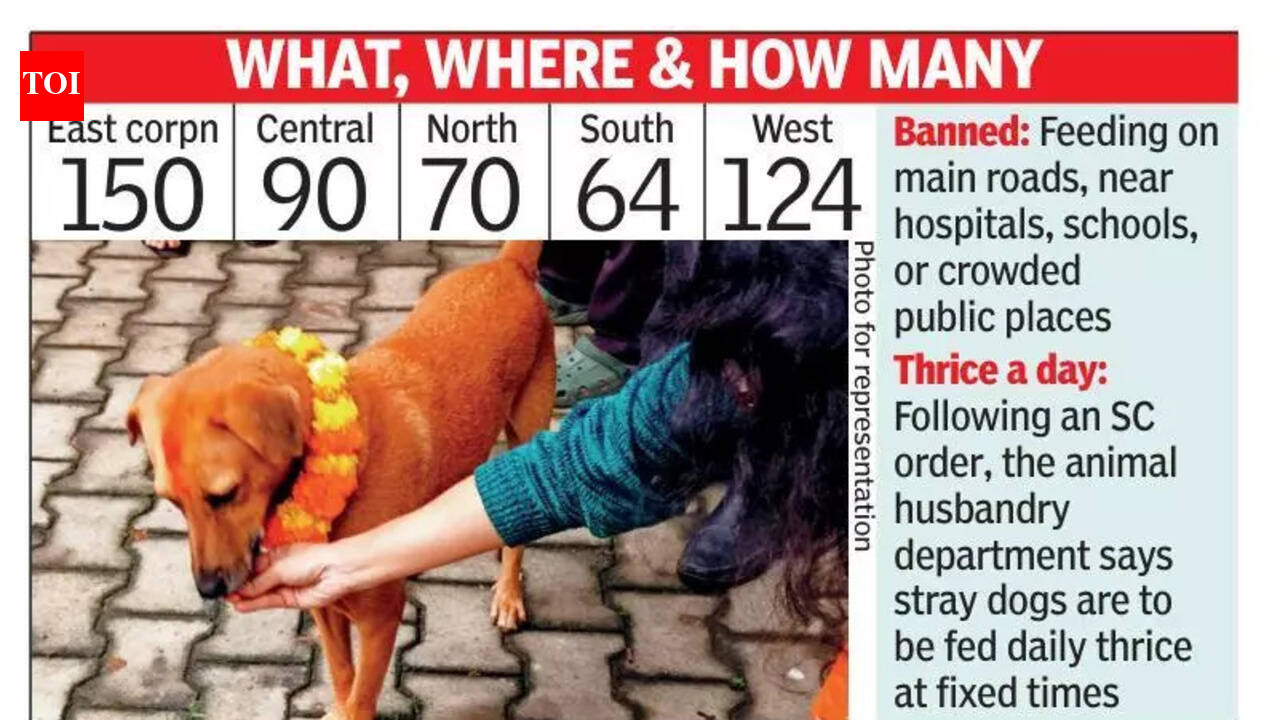 Almost 500 spots identified to feed stray dogs in Bengaluru