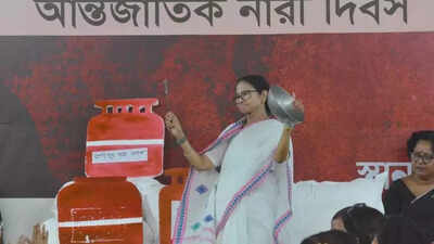 BJP wants to replace Constitution with manifesto, says CM Mamata Banerjee; TMC women’s brigade protests LPG price hike & SIR