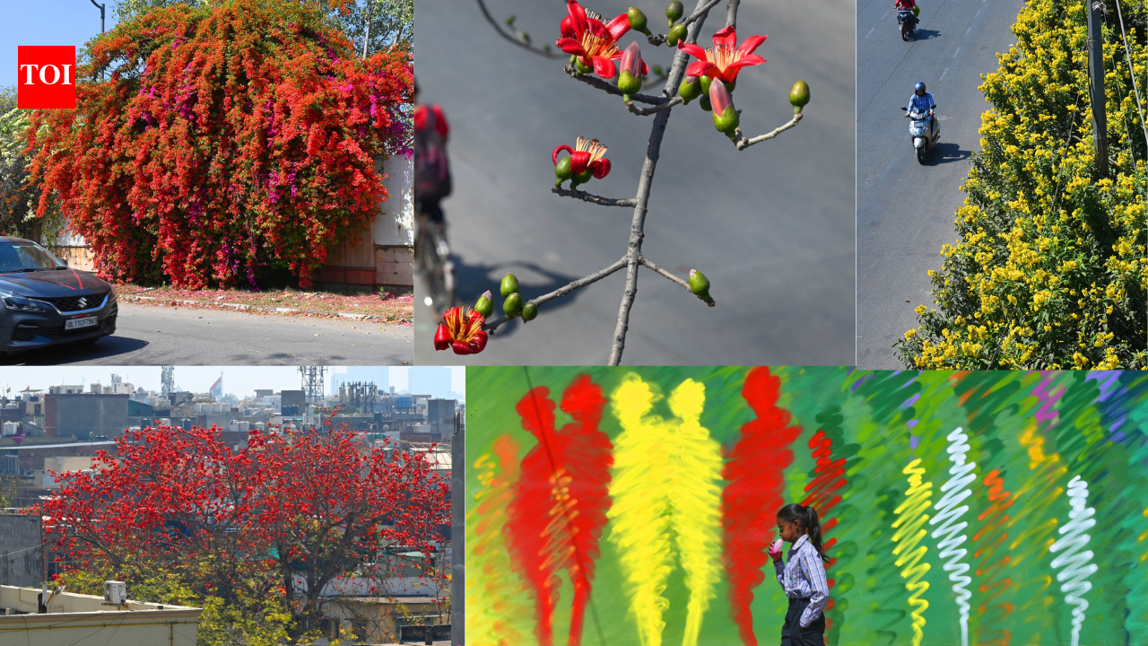 How spring has set Delhi ablaze