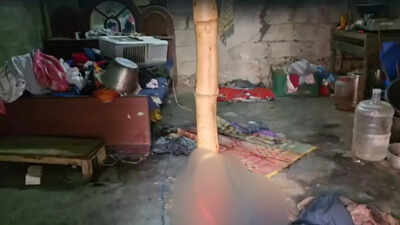 2 men hacked to death in Tamil Nadu; police probe revenge angle linked to DMK functionary’s murder