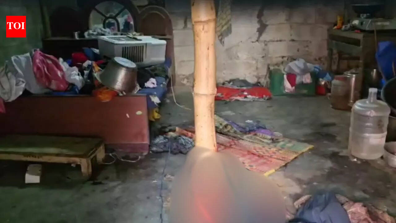 2 men hacked to death in Tamil Nadu; police probe revenge angle linked to DMK functionary’s murder