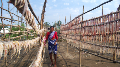 Women drive tourism push under Maharashtra’s ‘Aai’ policy; 900 loans worth Rs 72 crore sanctioned