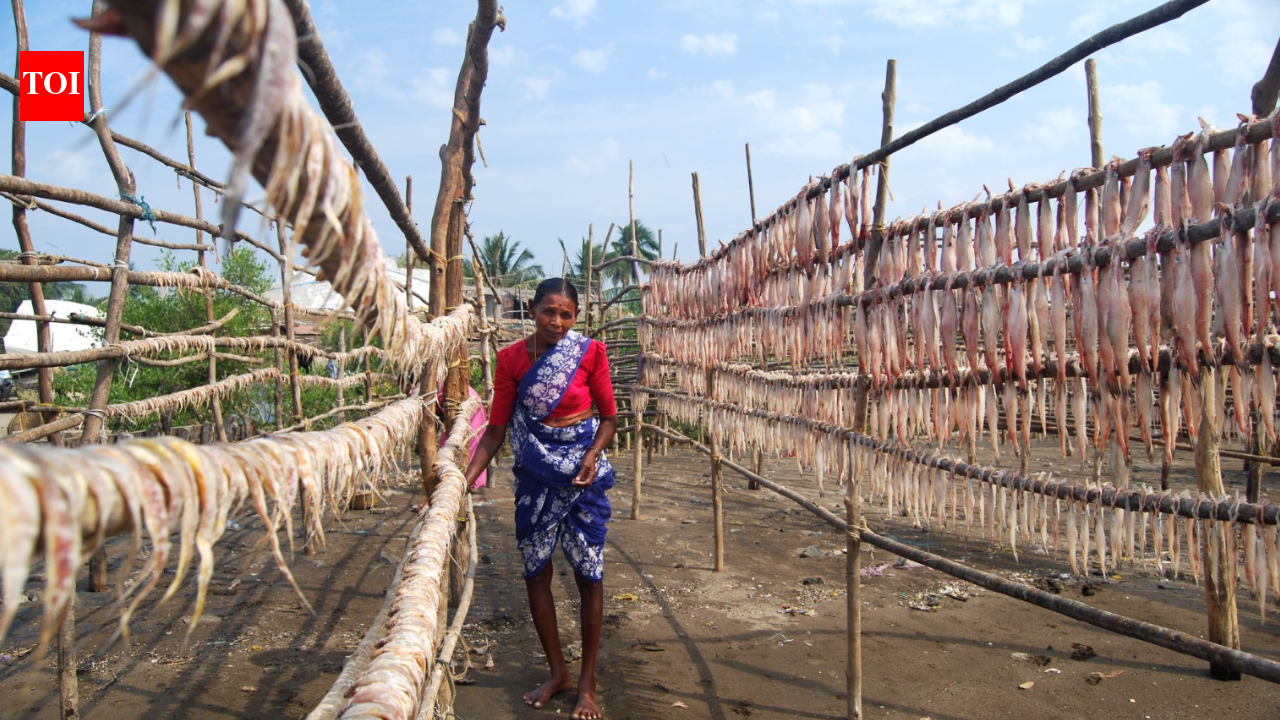 Women drive tourism push under Maharashtra’s ‘Aai’ policy; 900 loans worth Rs 72 crore sanctioned