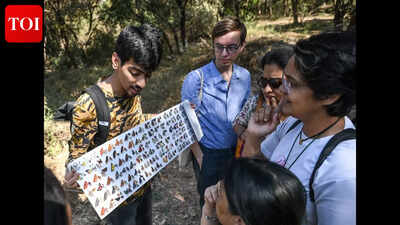 Butterfly trails turn into weekend classrooms for city’s nature lovers