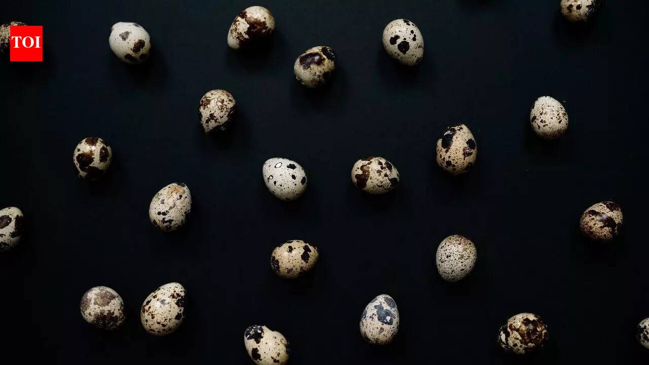 Scientists uncover ‘space glass’ in Brazil linked to a 6-million-year-old meteorite impact