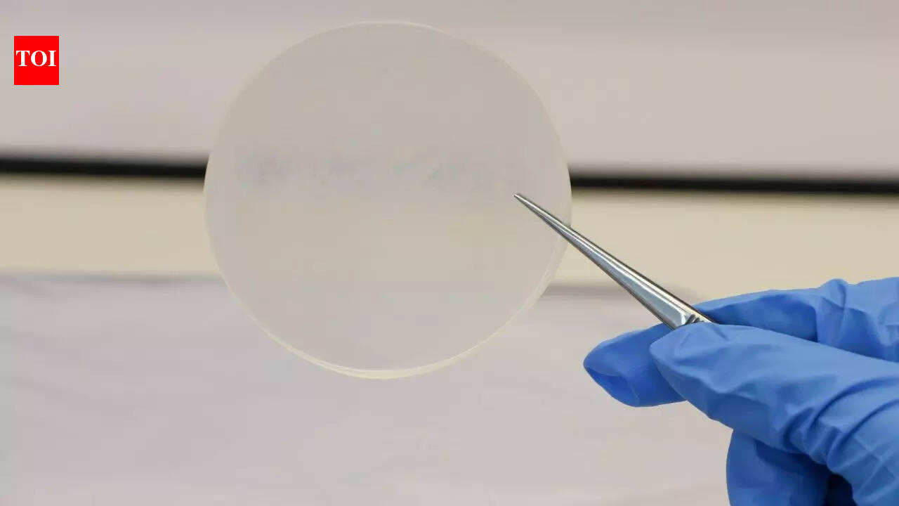 Plastic from milk? Scientists create eco-friendly plastic that decomposes in just 13 weeks