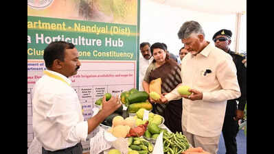 Naidu slams YSRCP govt over misusing land laws, revenue ‘chaos’