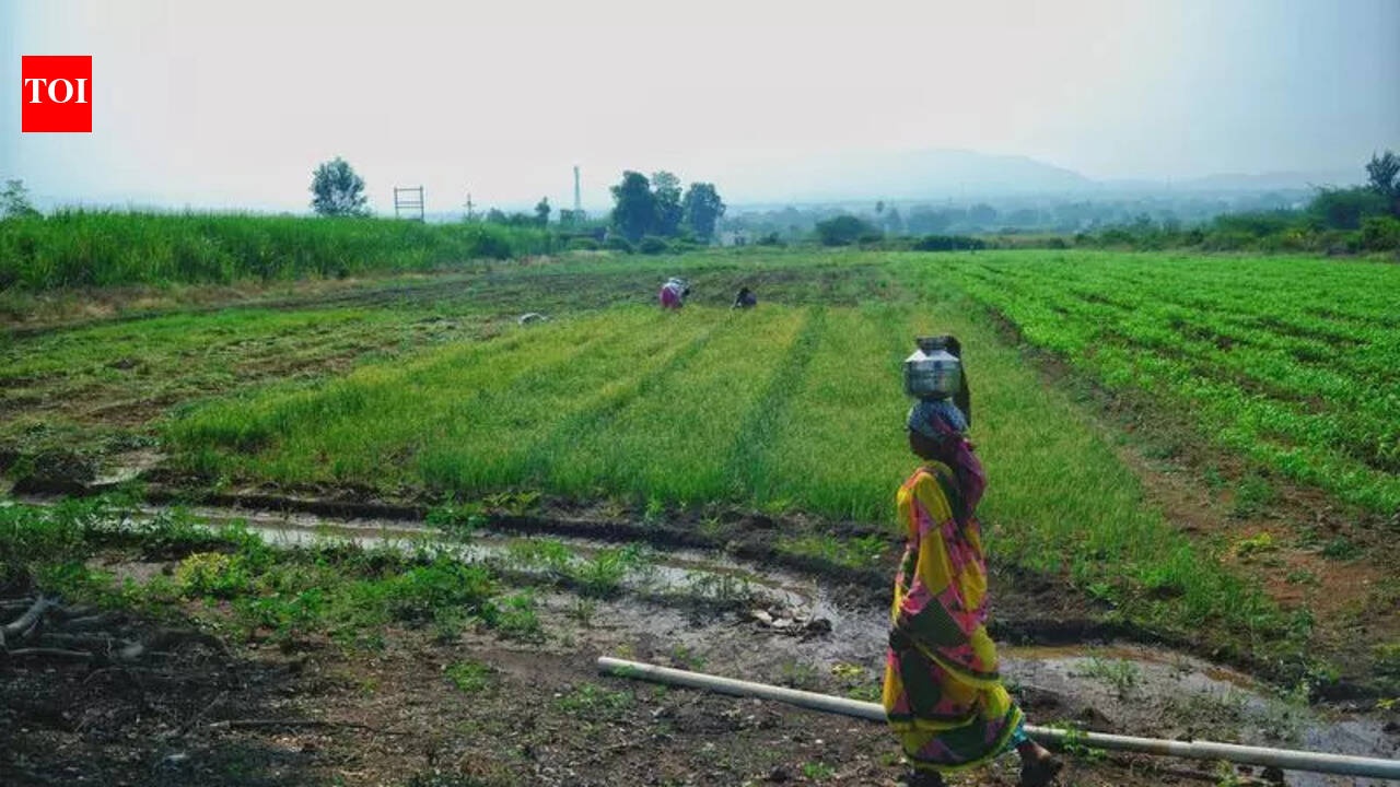 COs’ strike paralyses land-related work, deputy CM warns of action