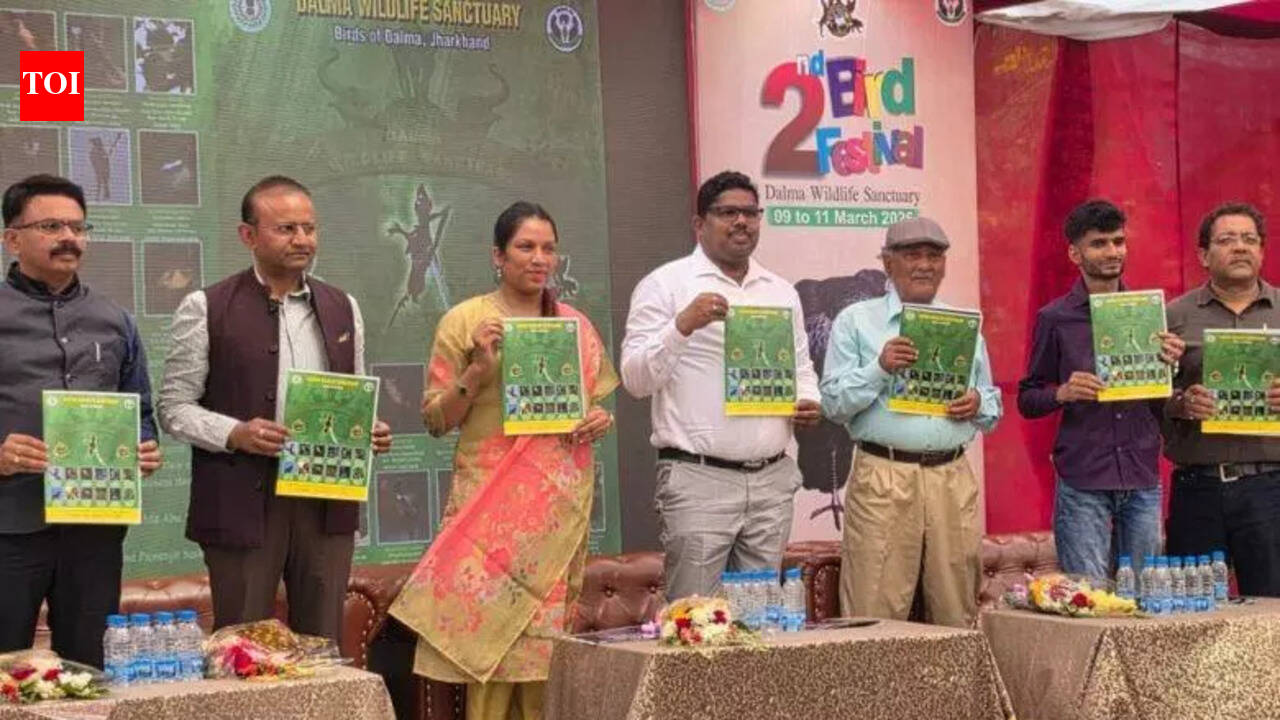 Delight for avian watchers as bird festival kicks off in Dalma | Ranchi ...