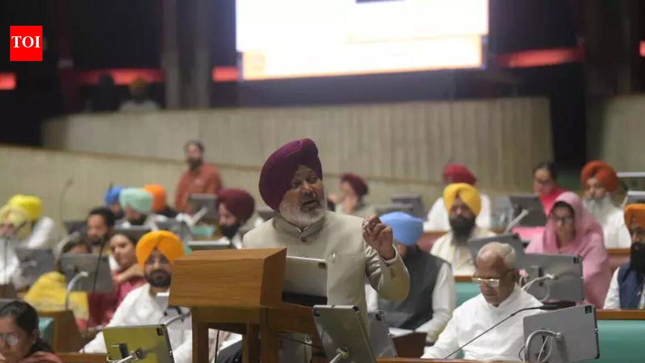 AAP govt will not allow drug money to build mansions: Cheema