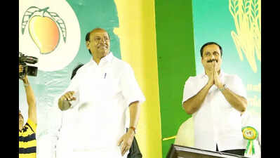 Ramadoss can’t take decisions due to age, ailments, Anbumani tells HC