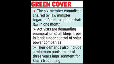 Khejri conservation: Raj govt panel to draft law that protects state tree