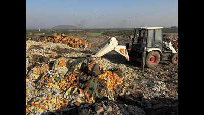 1.5 lakh kg expired food items destroyed in raid