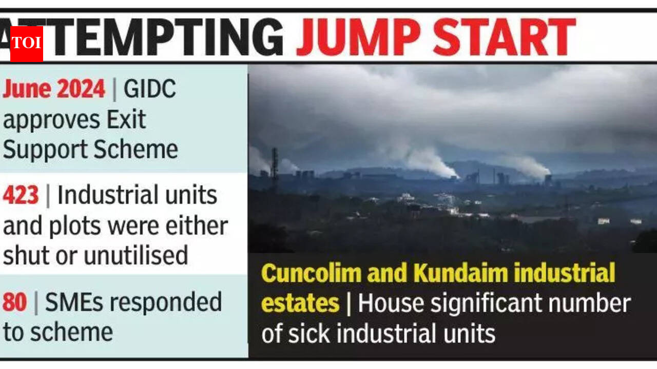 89% of MSMEs functional, 3,300 non-operational in Goa: Survey
