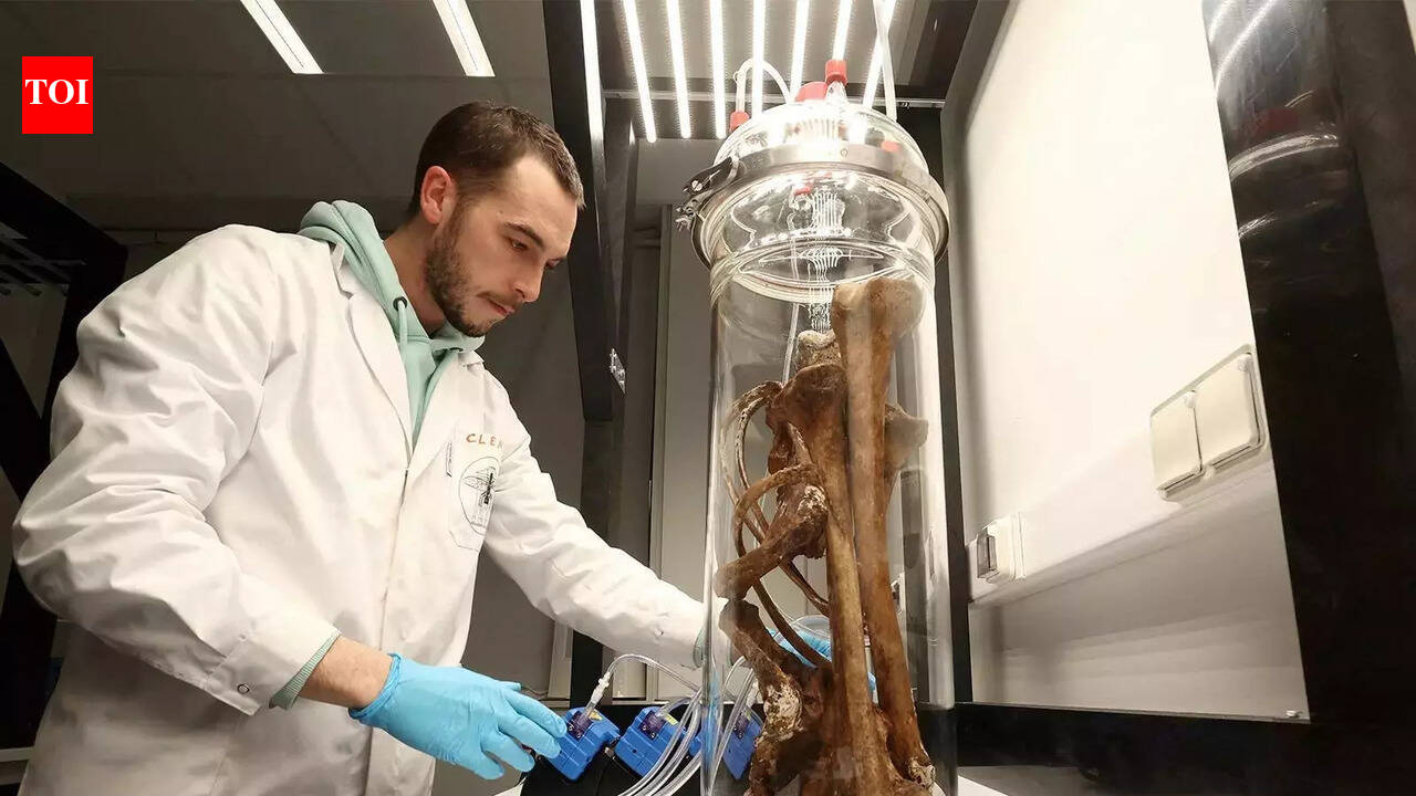 Stressful, toxic people in your life may make you age faster, say researchers