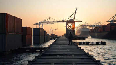 Maritime regulator steps in to check 'opportunistic pricing' by shipping companies