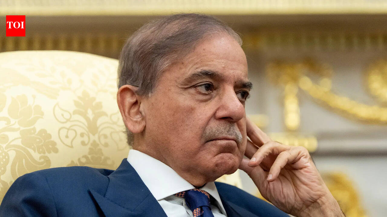 Middle East heat reaches Pakistan: PM Shehbaz Sharif announces fuel‑saving measures; work from home, salary cuts and more