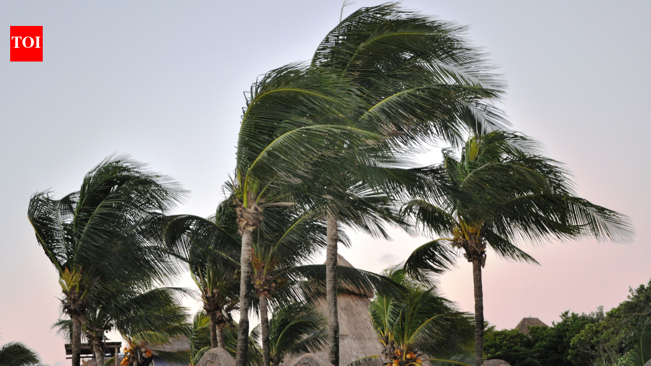 Saudi Arabia weather alert: NCM warns of rain, strong winds and low visibility across several regions