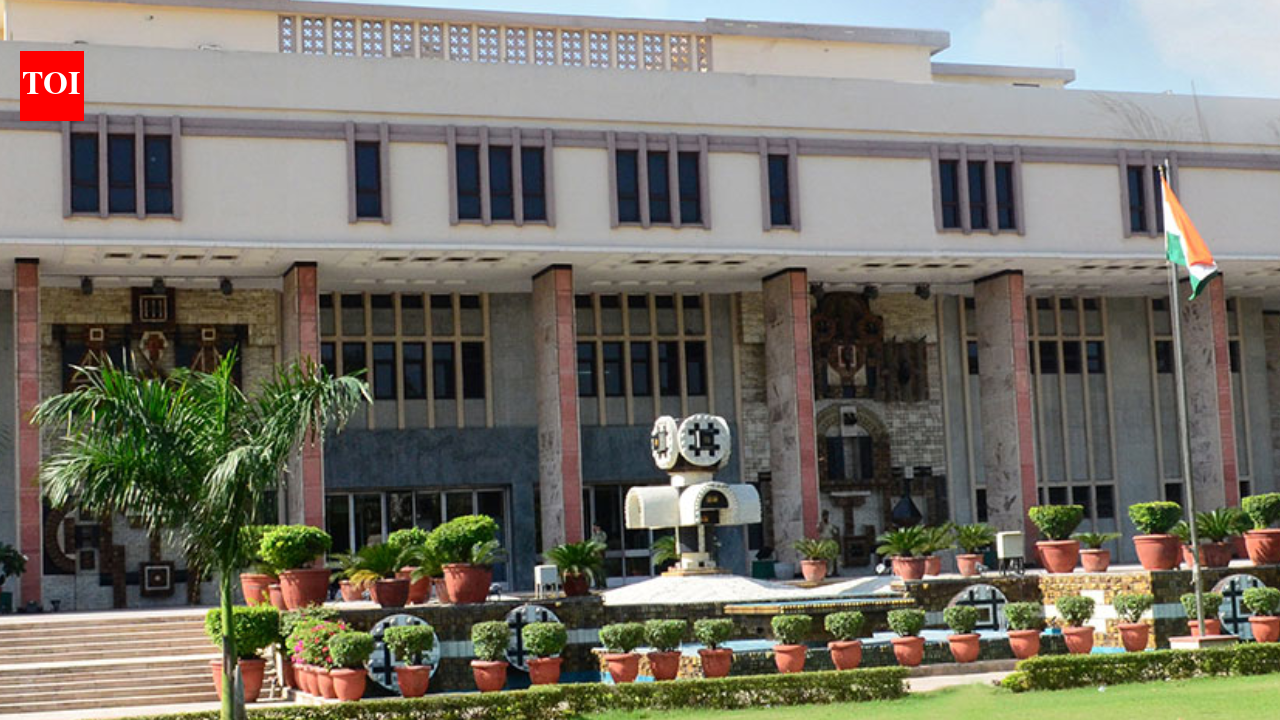 Uttam Nagar murder case: Accused’s mother moves Delhi high court fearing house demolition