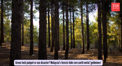 Green tech jackpot or eco disaster? Malaysia's forests hide rare earth metal 'goldmines'