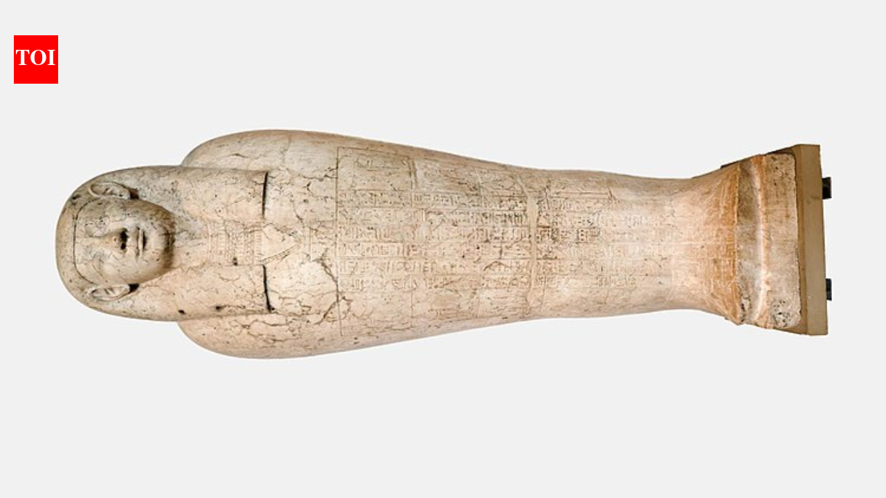 2,000-year mystery in Egypt: Skeletons in sarcophagus once linked to Alexander the Great’s tomb spark ‘mummy curse’ rumours