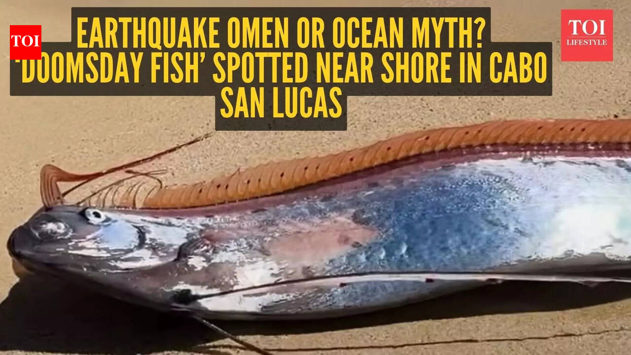 Video: Earthquake omen or ocean myth? ‘Doomsday fish’ spotted near shore in Cabo San Lucas