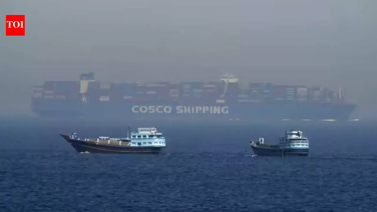 India considering naval escort for ships in Strait of Hormuz amid Iran war: Report