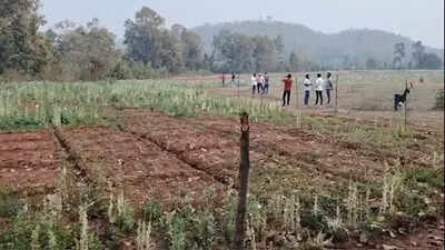 In Chhattisgarh, illegal opium crop found in Balrampur district after Durg; Cong to protest statewide