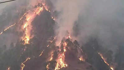 Forest fire near CISF office, ammunition store in Chamoli contained after 3 days