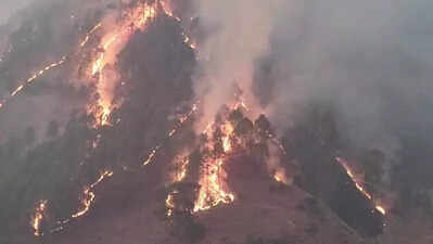 Forest fire near CISF office, ammunition store in Chamoli contained after 3 days