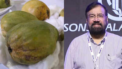 Kohitur Mango: The rare and expensive Indian fruit that even billionaire Harsh Goenka says he “can’t afford”
