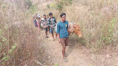 Tribal families forced to fetch drinking water on horseback in AP’s agency area