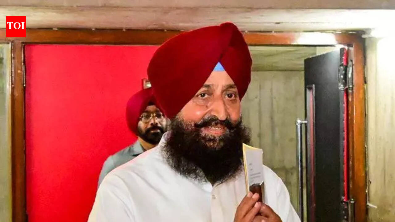 Punjab legislators invoke Epstein files to attack proposed India-US trade deal