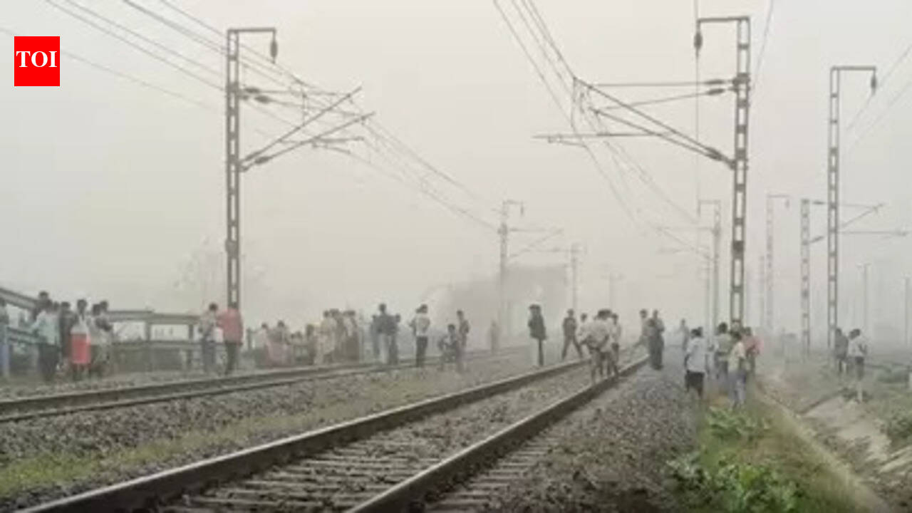 Two brothers die after being hit by train in Kaimur