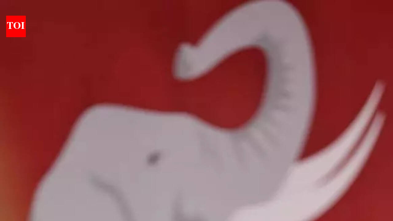 Karur stampede case: CBI summons Vijay on March 15