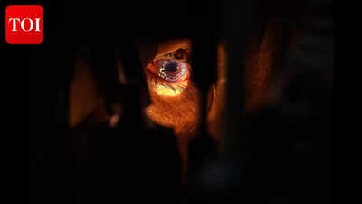 GMC seeks licence to register as corneal transplant centre