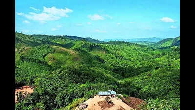 Army called out, Net blocked after 2 killed in violence in run-up to Meghalaya council polls