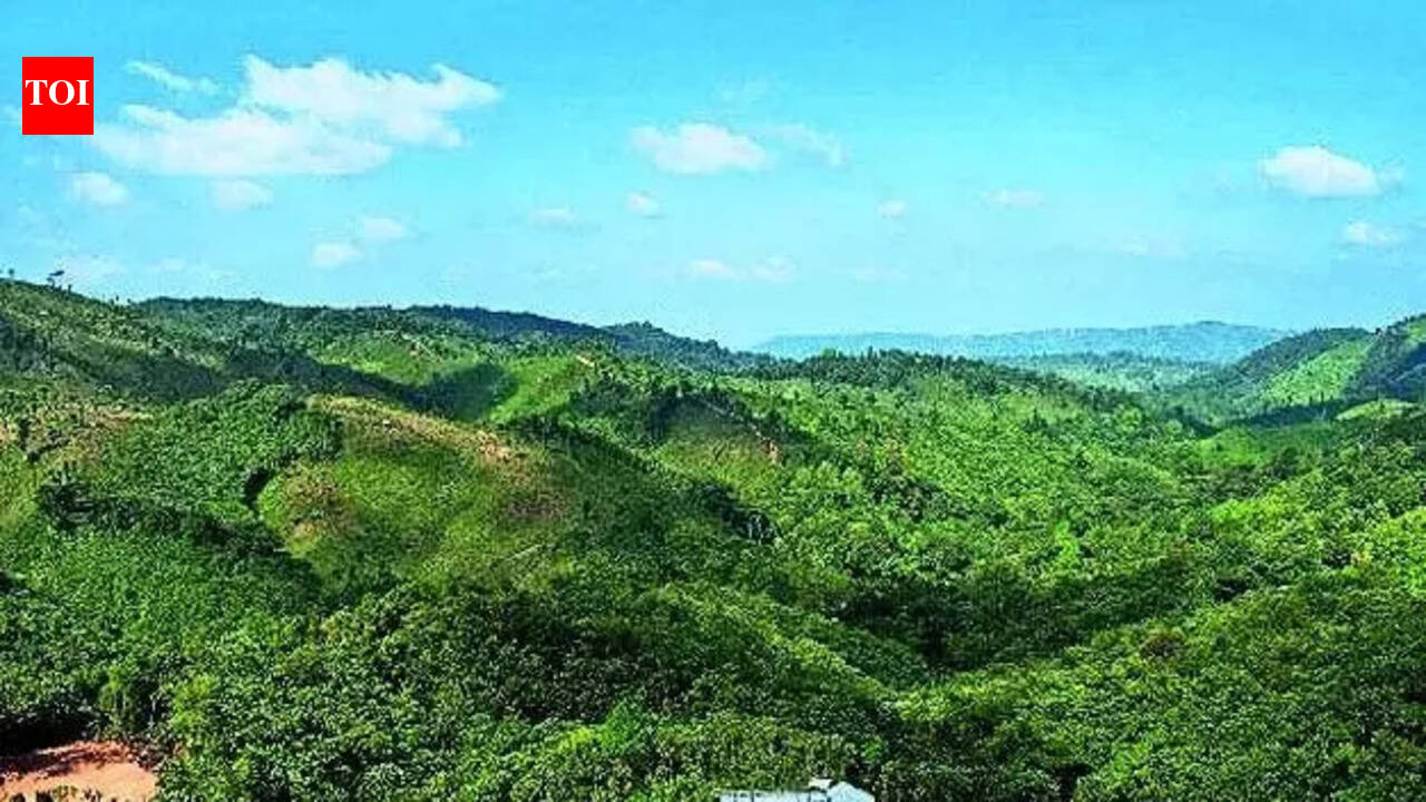 Army called out, Net blocked after 2 killed in violence in run-up to Meghalaya council polls