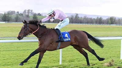 Cheltenham Festival 2026 turns tragic as Hansard suffers fatal injury during Arkle race on opening day