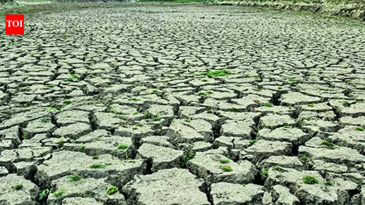 El Nino may hit India's monsoon, hotter months ahead, says WMO