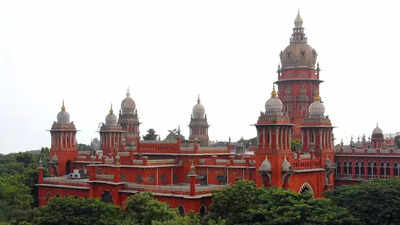 Madras high court rues ‘terrible rat race’ for medical, engineering seats