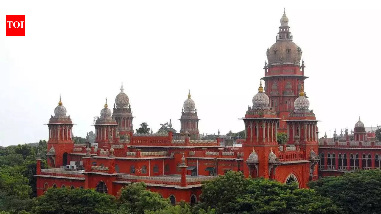 Madras high court rues ‘terrible rat race’ for medical, engineering seats