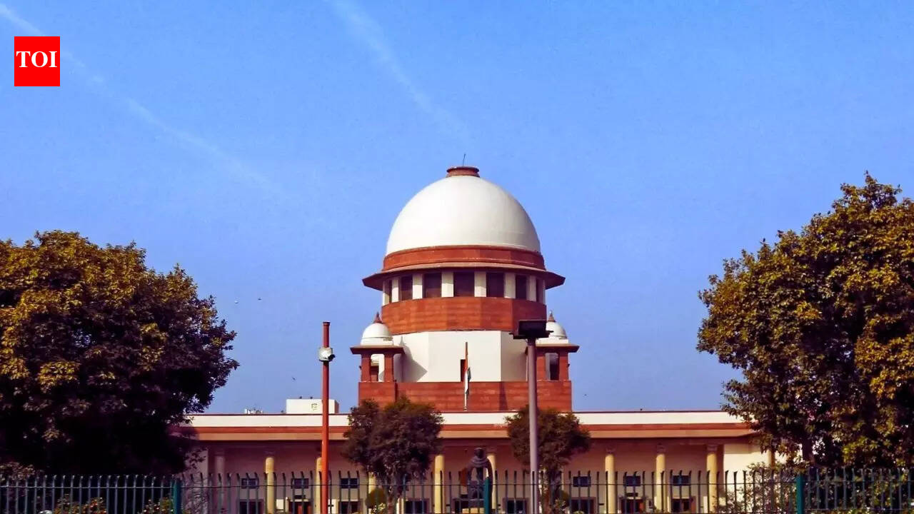 'Will take your English exam right here': SC junks AI-drafted PIL, schools Ludhiana trader