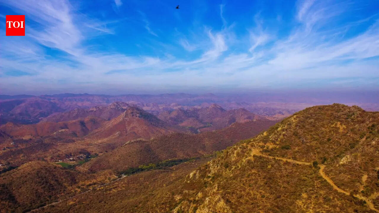 2017-2024 के दौरान अरावली में प्रति वर्ष 13.8% मिट्टी खो गई: अध्ययन | भारत समाचार