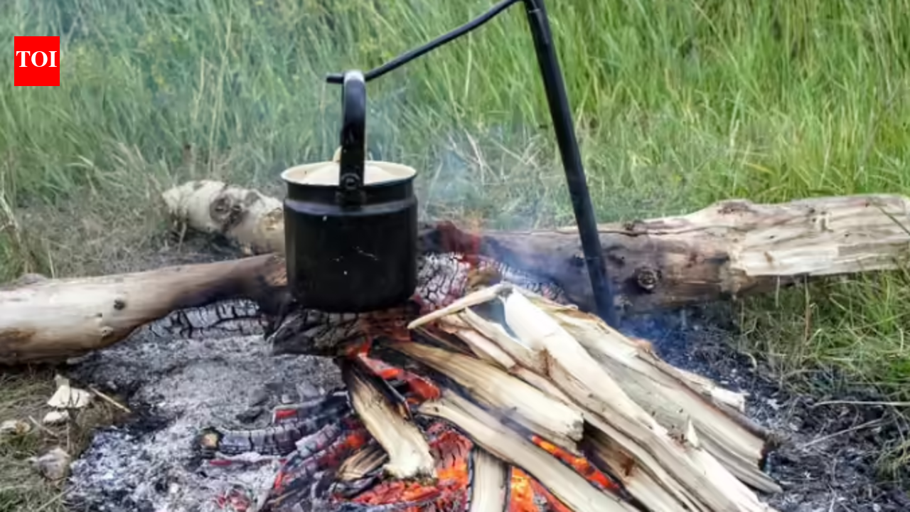 LPG shortage: Firewood prices go up in Salem region