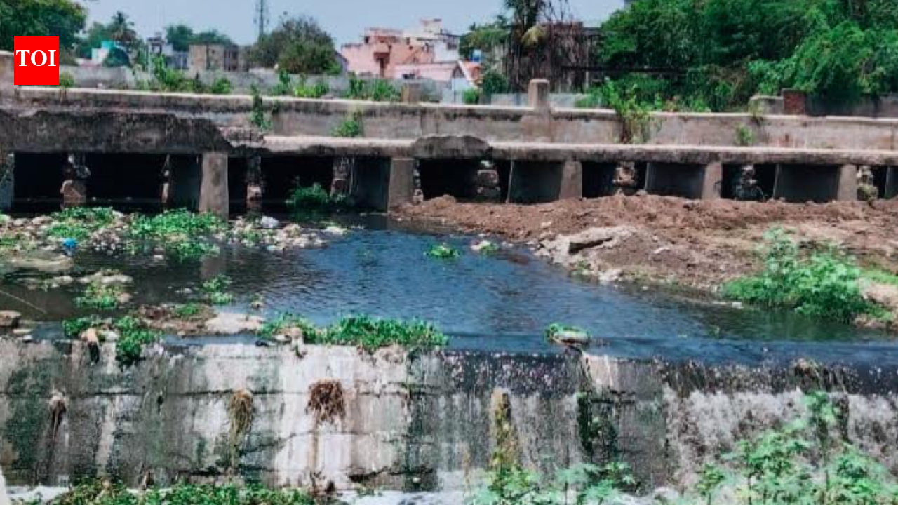 ASI orders TN water resources dept not to demolish centuries old Kalingarayan bridge in Erode district